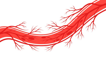 Detailed illustration of human blood vessels and arteries.