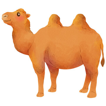 Islamic Eid Muslim Watercolor Eid Al-Adha Arabic Hajj Mecca Mosque Qurban Sacrifice Mubarak Faith Religion Culture Decoration