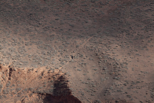 Overhead looking down on black bird flying over desolate land