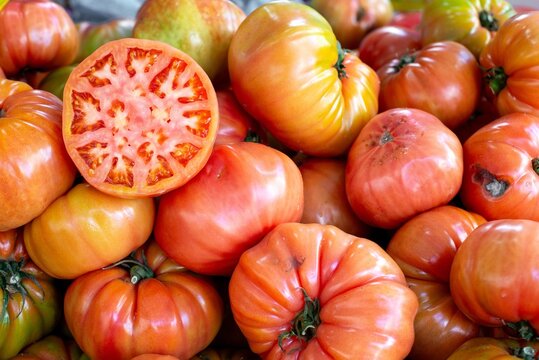 Close-up of many Barbastro pink tomatoes
