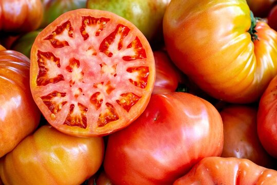 Close-up of many Barbastro pink tomatoes