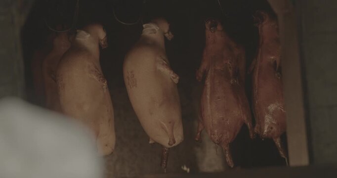 Hanging roast Peking Duck s in Smokehouse Capturing Culinary Art