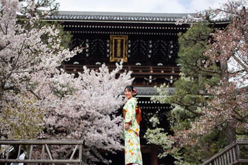 京都のお寺と桜と着物の女性