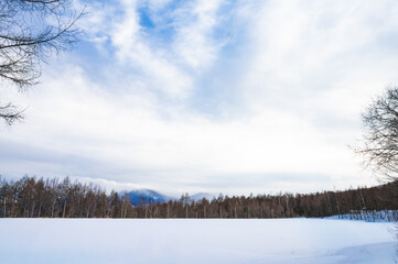 雪景色の中の木々