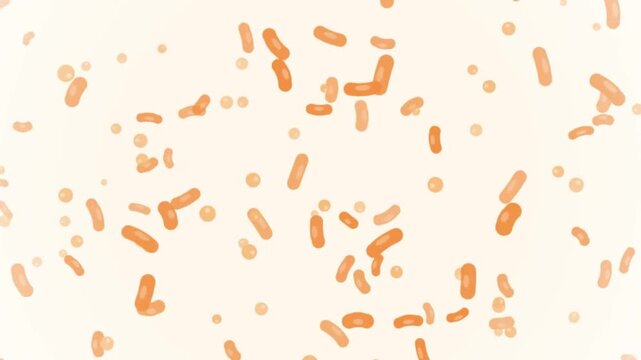 Microscopic Animation of Orange Rod-Shaped and Spherical Bacteria Moving in a Fluid Environment