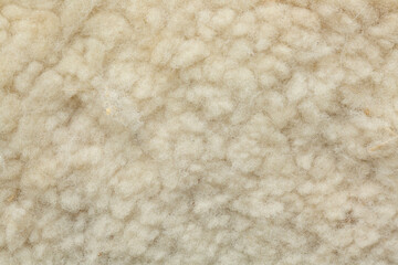 A view of the wool of a sheep, as a background. © DAVID