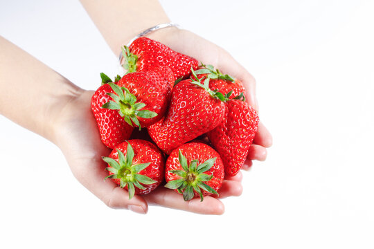 Fresh Red Strawberries in Hands - Healthy Organic Fruit on White Background