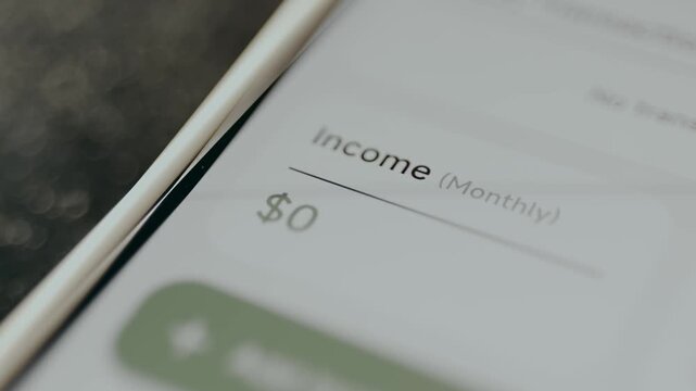 Monthly Income of 0 US dollars, financial tracking app