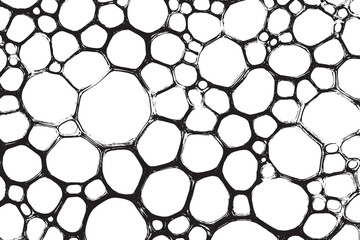 Macro view pattern of soap bubbles or cell biology vector illustration.