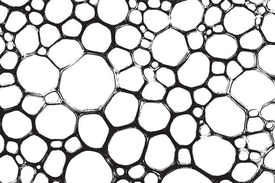 Macro view pattern of soap bubbles or cell biology vector illustration.