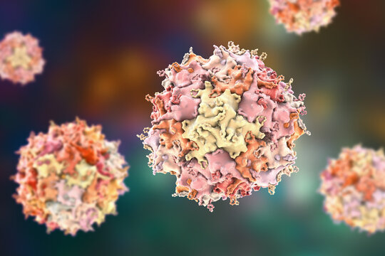 Adeno-associated virus virion, 3D illustration
