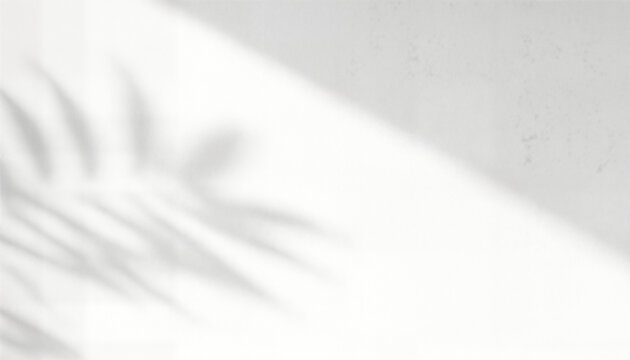 shadow overlay effects of realistic abstract natural tree leaves shadow on wall background,Summer sunlight and shadow overlay effect,shadow for photo interior backdrop studio mockup