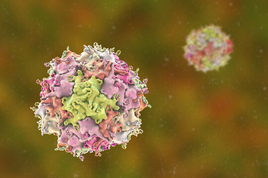 Adeno-associated virus virion, 3D illustration