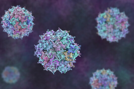 Adeno-associated virus virion, 3D illustration