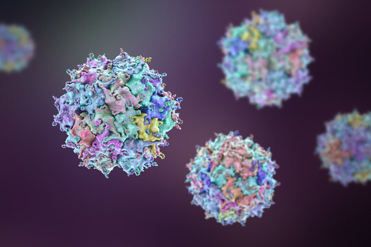 Adeno-associated virus virion, 3D illustration