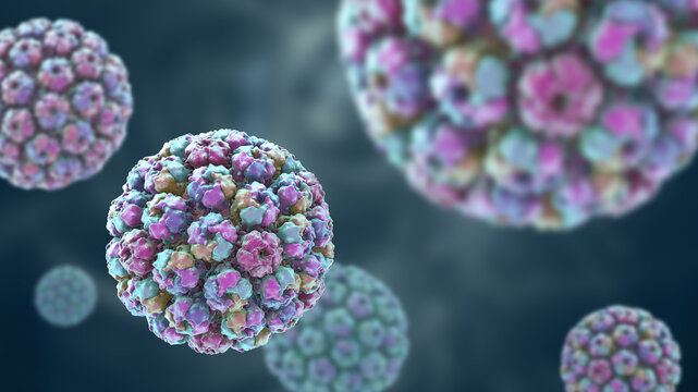 Merkel cell polyomavirus virion, 3D illustration