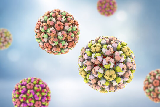Merkel cell polyomavirus virion, 3D illustration