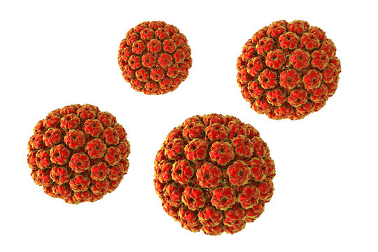 Merkel cell polyomavirus virion, 3D illustration