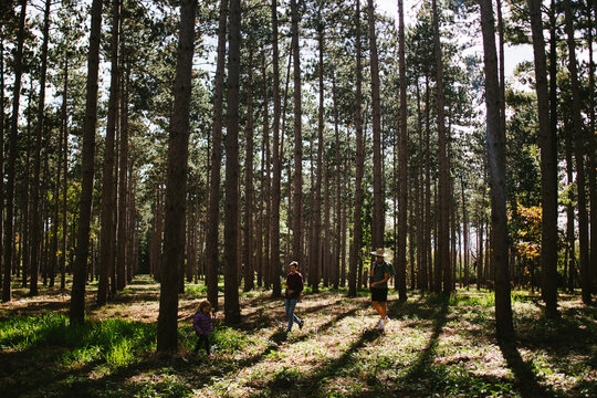 Kids run through forest together on fall hike in sunlight