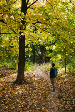 Teenage boy under fall tree with colorful leaves on hike path
