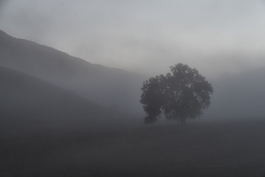 Fog Rolling Through the Green Verdant Hills in SoCal