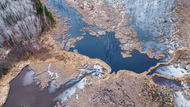 Aerial view of freezing marsh ponds and surrounding mixed forest