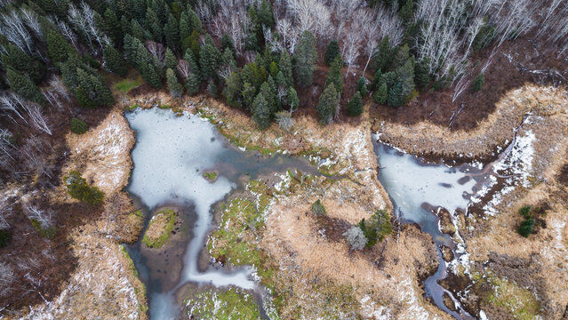 Aerial view of freezing wetland ponds surrounded by mixed forest