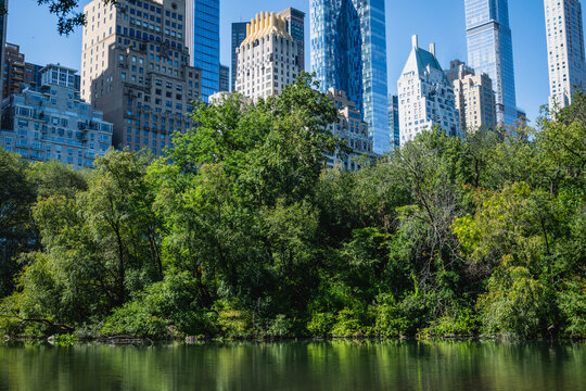 New York's urban skyline from Central park