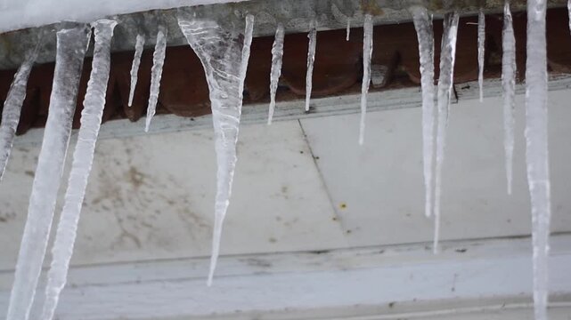 Long sharp icicles hanging from house roof in winter