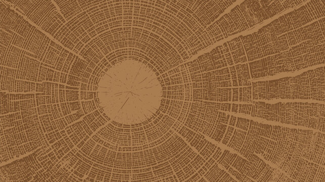 Cross-section of a tree trunk, annual growth rings pattern vector illustration