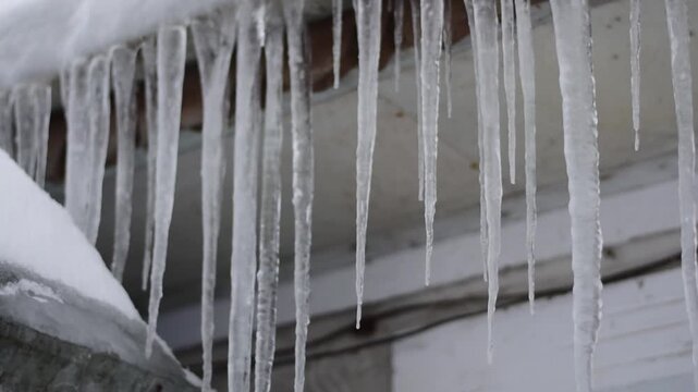 Close up of many long transparent icicles hanging from a roof gutter