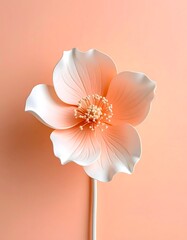 Elegant Peach Blossom - A Delicate Floral Portrait on Soft Background.