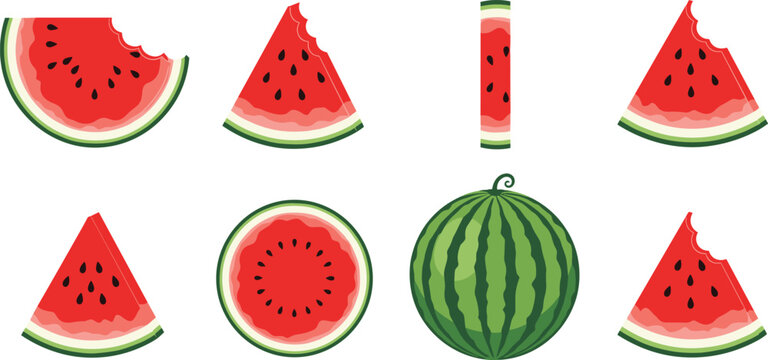 Watermelon slice collection vector set. Whole and cut watermelon with bite mark. Fresh summer fruit illustration isolated for packaging, menu and food design.