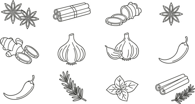 Hand drawn spice and herb outline collection with garlic chili cinnamon star anise ginger rosemary vector line art set