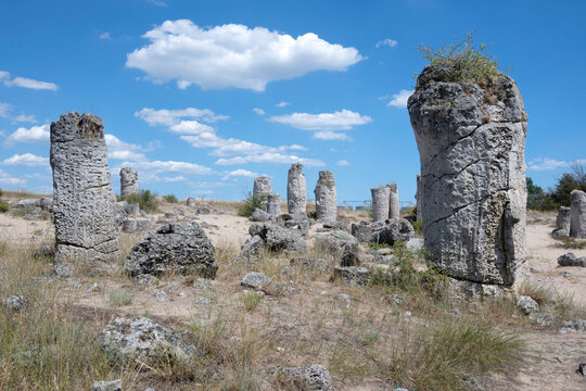 Rock formation Pobiti Kamani (Upright Stones), Bulgaria