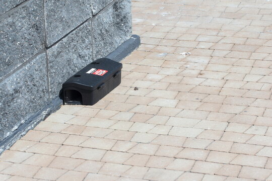 Trap and rodent bait station placed along the wall of the building. Devices for monitoring the presence and control of rodents.
