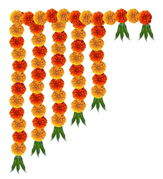 Marigold festive hanging design element for hinduism post and festivals mango leaves