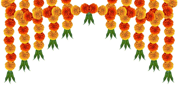 Marigold flowers with mango leaves hindu festive element
