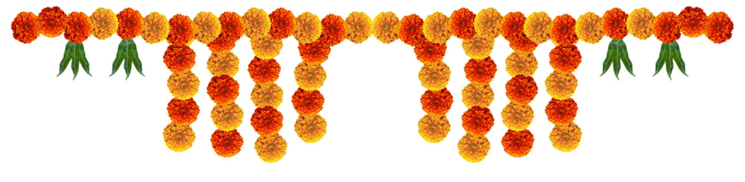 Marigold flowers hanging design element with mango leave