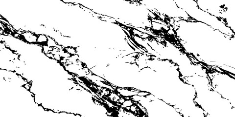 Naklejka premium Luxury White Marble Texture with Natural Black Veins Elegant Stone Background.
