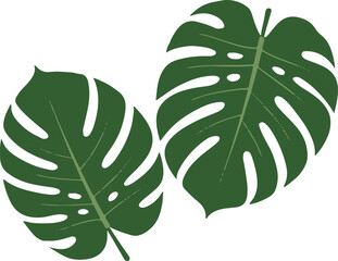 monstera leaf jungle botanical emblem sticker logo badge vector