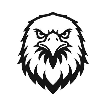 Black and white eagle head. Bald eagle, bird of prey, wild animal, American symbol, hawk face. Black and white vector image