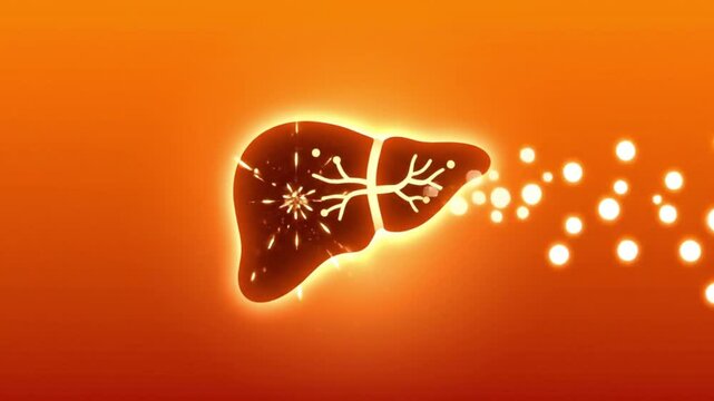 2D medical animation of a human liver showing detoxification and immune system protection with glowing shield icon and toxin filtration.