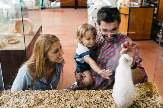 Happy family looking at rabbit in a pet shop