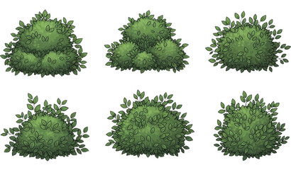 Hand-drawn green bush vector set with detailed foliage isolated on white background for garden, landscaping, and botanical design © Nur