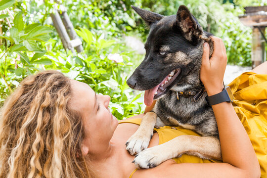 Husky shepherd mongrel dog and his mistress, face to face