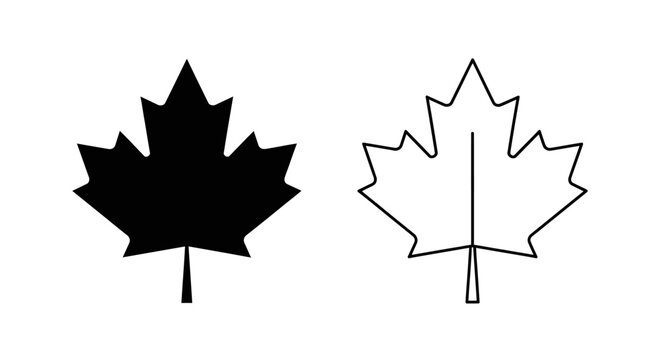 Maple leaf design, icon, symbol, vector, illustration, graphic, canada, flag, emblem, logo, badge, plant, nature, simple, clean, line art Vector