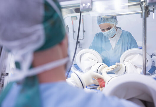 Scientists processing human tissue in insulator laboratory