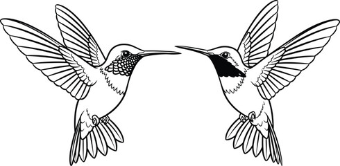 Black line art vector set of two realistic hummingbirds in flight with spread wings and detailed feathers for nature wildlife and bird branding © Rehena