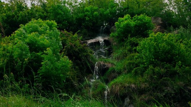 Small natural waterfall flowing through lush green vegetation and mossy rocks in Italian forest